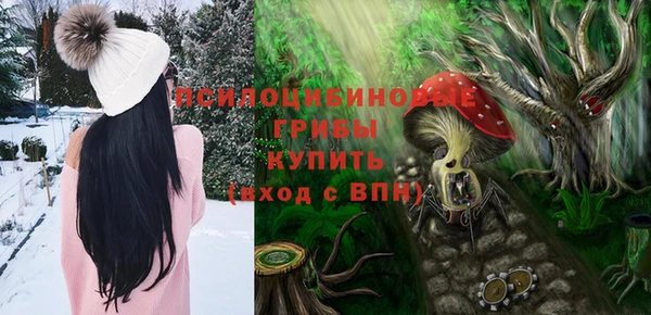 дмт Нягань
