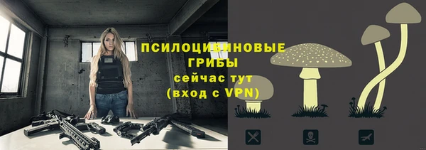бутират Няндома