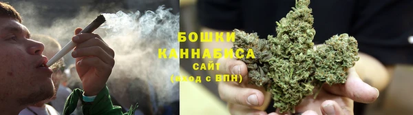Альфа ПВП Новозыбков