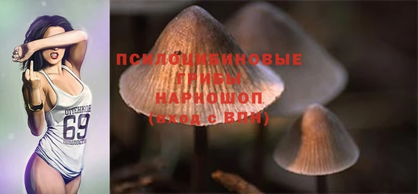 дмт Нягань