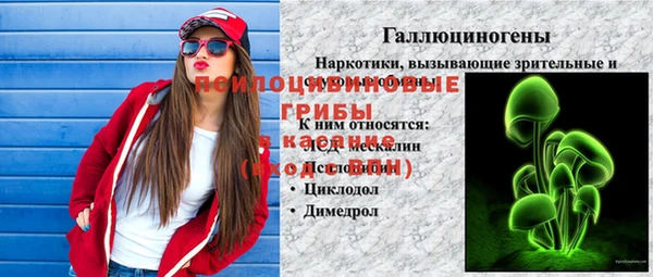 Альфа ПВП Новозыбков