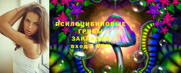 Альфа ПВП Новозыбков