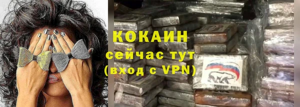дмт Нягань