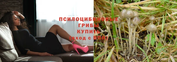 дмт Нягань