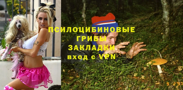 бутират Няндома