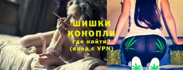 Альфа ПВП Новозыбков