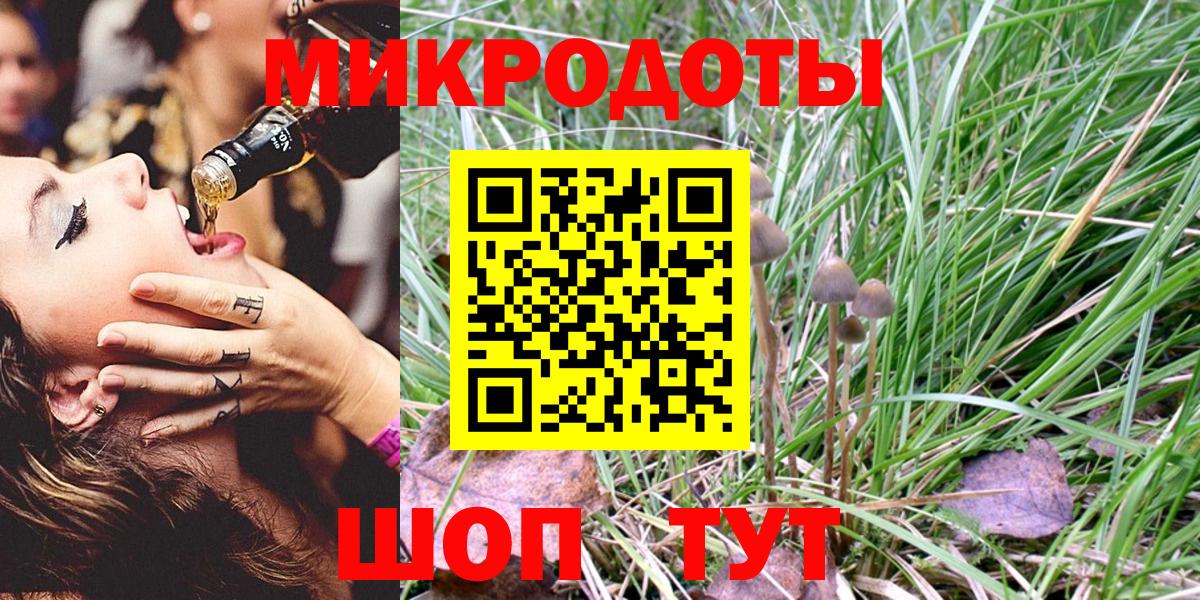 Псилоцибиновые грибы Psilocybe  Галлюциногенные грибы Psilocybe  Советский 