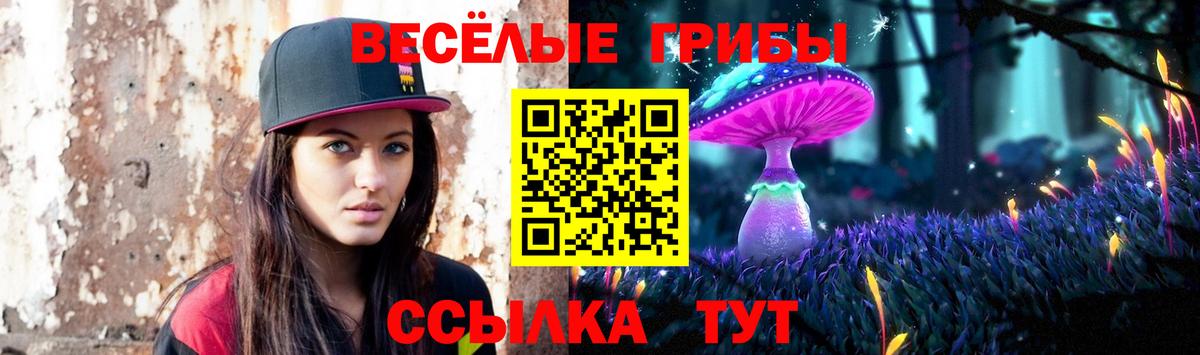 Псилоцибиновые грибы Psilocybe Советский