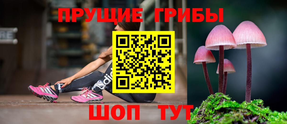 Советский  Галлюциногенные грибы GOLDEN TEACHER  Вход с VPN 